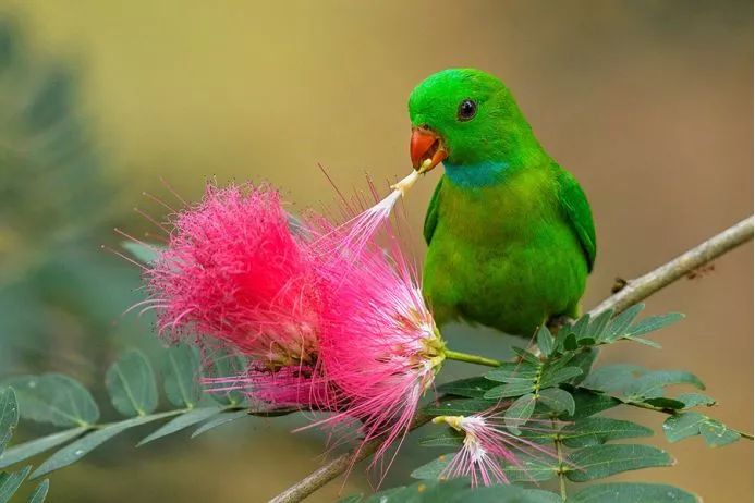 《自然之美》,自然之美摄影大赛