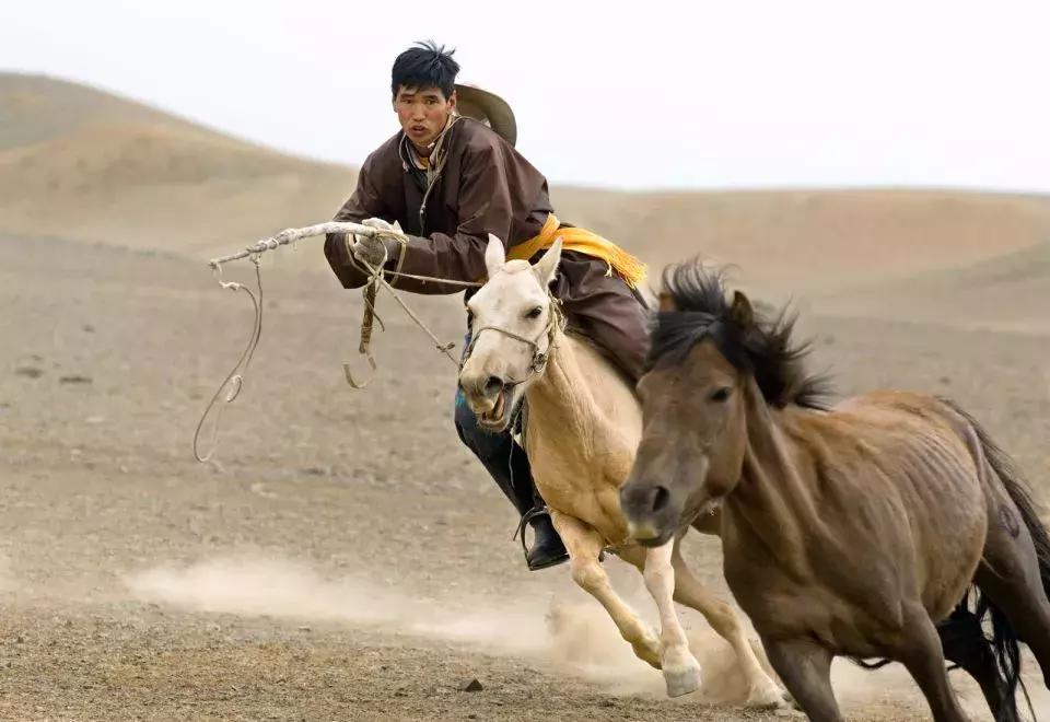 西部牛仔套索教程,西部牛仔套索视频