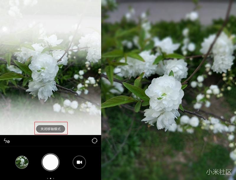 小米手机微距镜头使用方法,一招教你手机微距更清晰