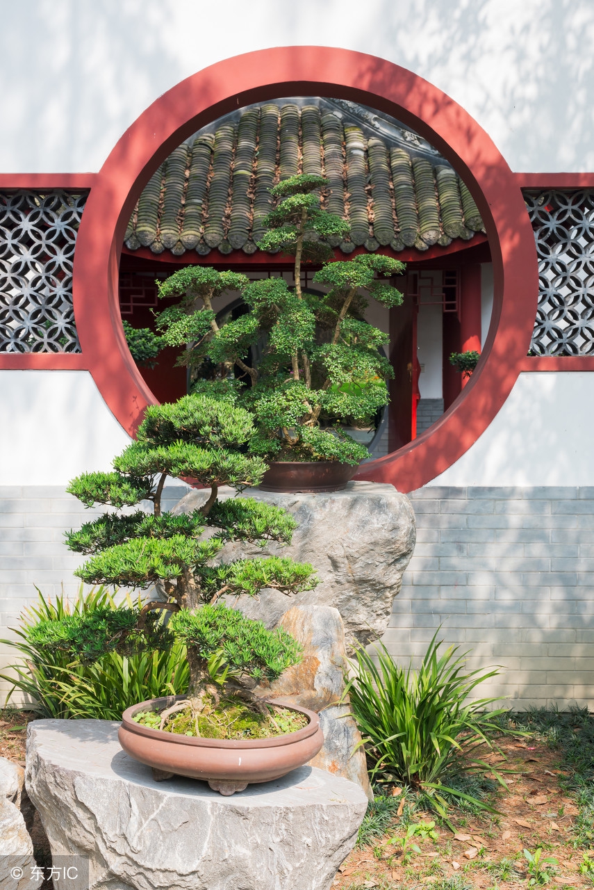 绝美优雅的盆景欣赏（太漂亮了，快分享给朋友吧！）