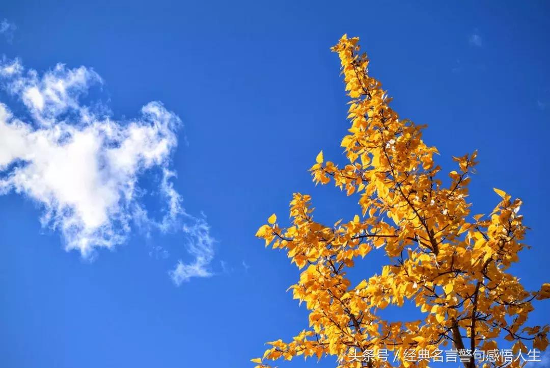 人品好的人再努力也没有用,人品差的人再怎么努力都没用