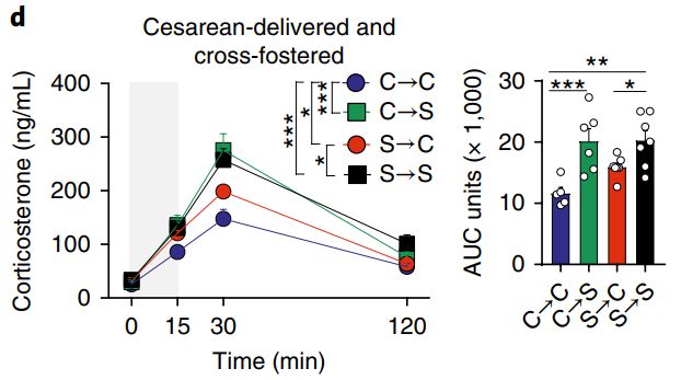 孕期做微生物实验有影响吗,孕期压力大对宝宝影响的研究