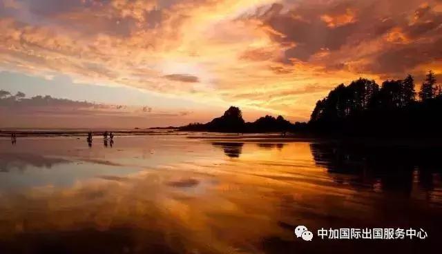 加拿大好用物品,加拿大有哪些值得带的东西便宜点