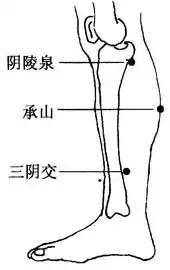大暑出汗可以去湿气吗,大暑之后煲什么汤