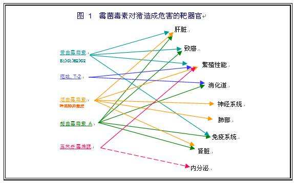 黄曲霉菌毒素的危害,对虾饲料中黄曲霉毒素