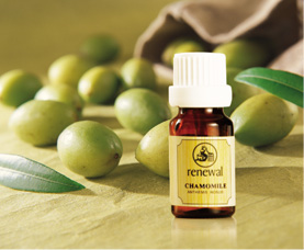 没药？能干啥？能治疗暴躁，滋养女性子宫！‘有药’？‘没药’！