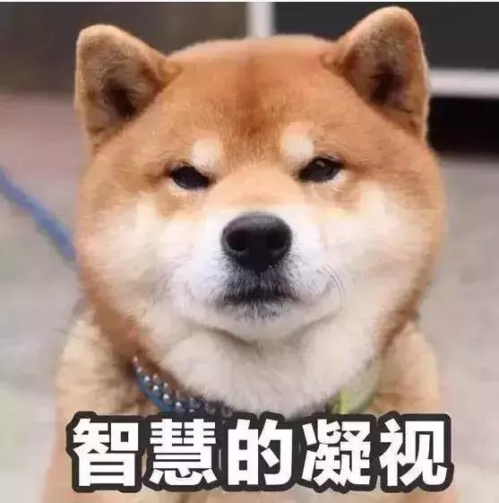 去香港怎么防止被罚款,去香港超过7天了有什么处罚