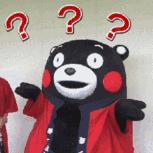 大连撞人事故视频监控,大连撞人监控