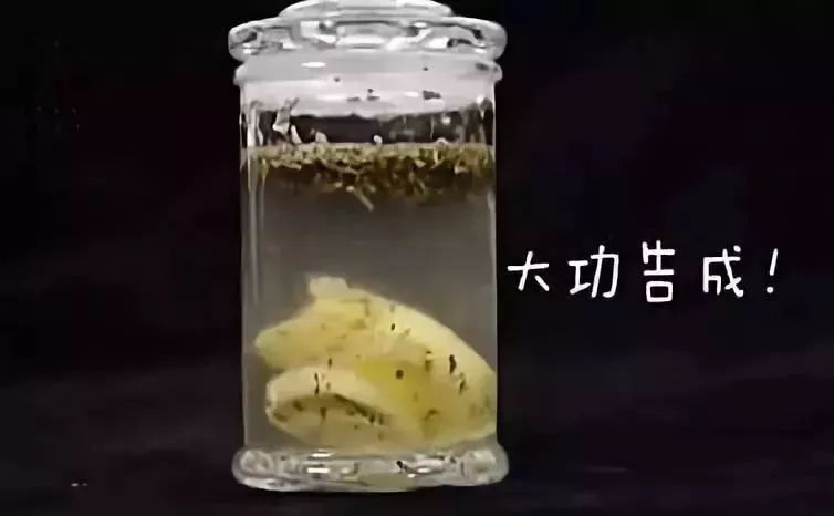 有治掉头发的妙招吗,健康脱发怎么办