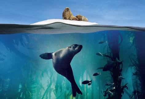 十部震撼神级片,9部堪称神作的纪录片火山