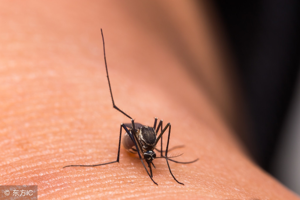 孕妇闻了十几分钟风油精会怎样,孕妇鼻塞不通气可以用风油精吗