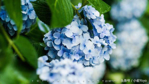 夏天济州岛旅游攻略,夏游济州岛