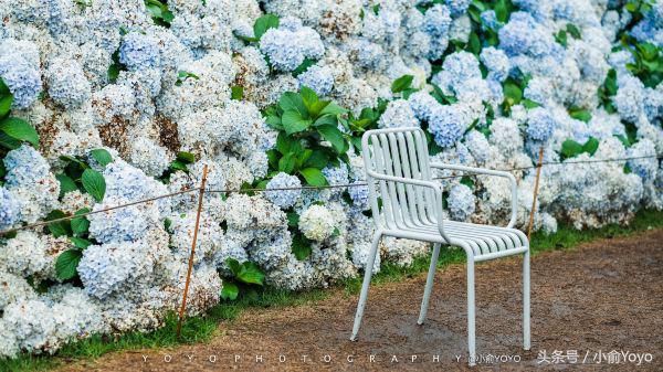 夏天济州岛旅游攻略,夏游济州岛