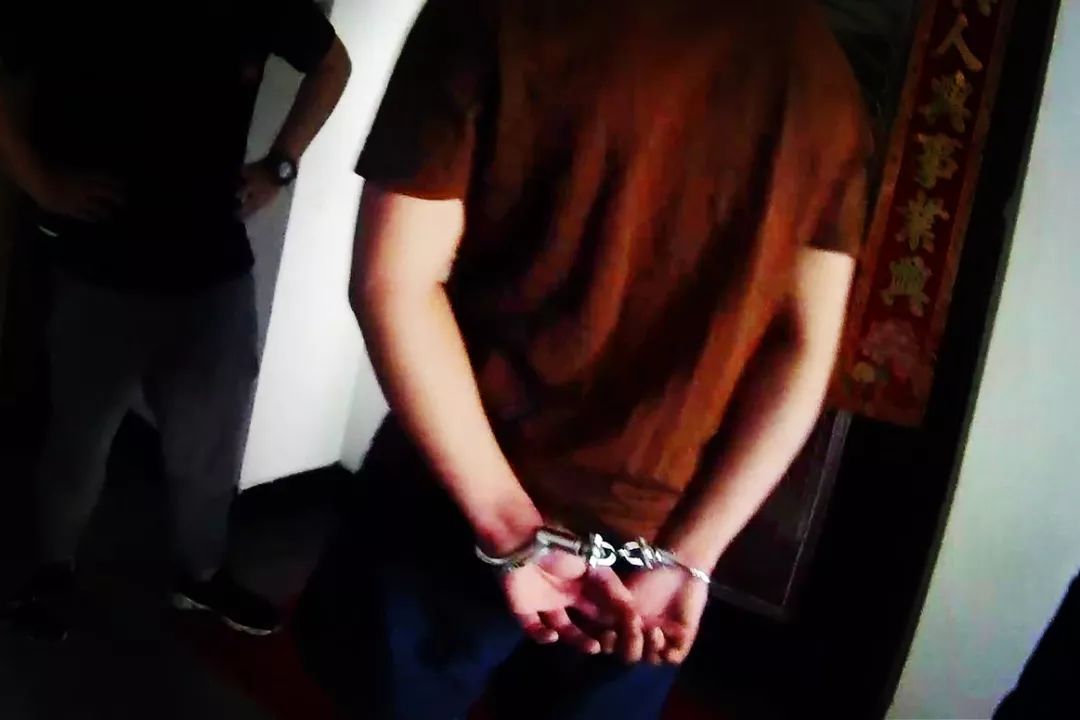 执法实录骗人事件,海淘处罚案例