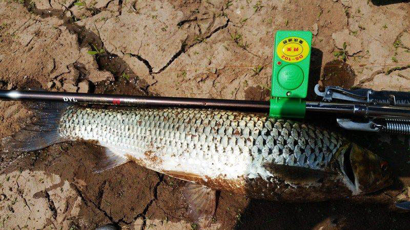 槌￠奔鍜岃崏楸煎摢涓姏姘斿ぇ,鑽夐奔璺熼场楸煎摢涓姏姘斿ぇ