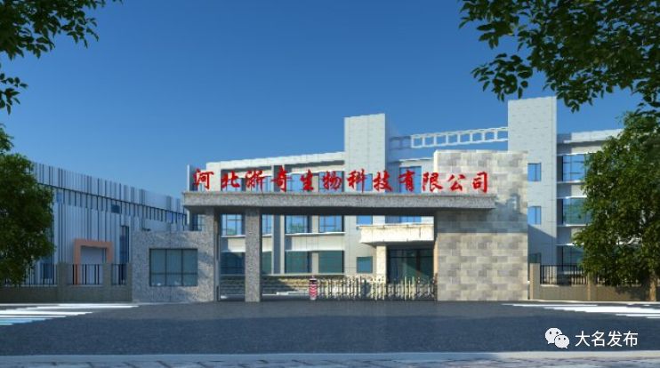 今年咱大名投资上亿的大项目、好项目，你知道几个？