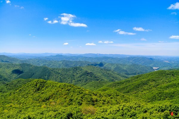 涓囧瓧鏀荤暐,涓囧瓧瑙ｆ瀽鏀荤暐