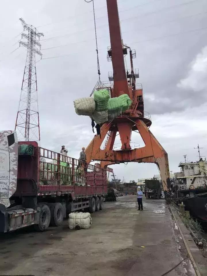 恶心！数百吨韩国人扔掉的旧衣服在浙江被截！你淘来的名牌货，可能暗藏各种细菌