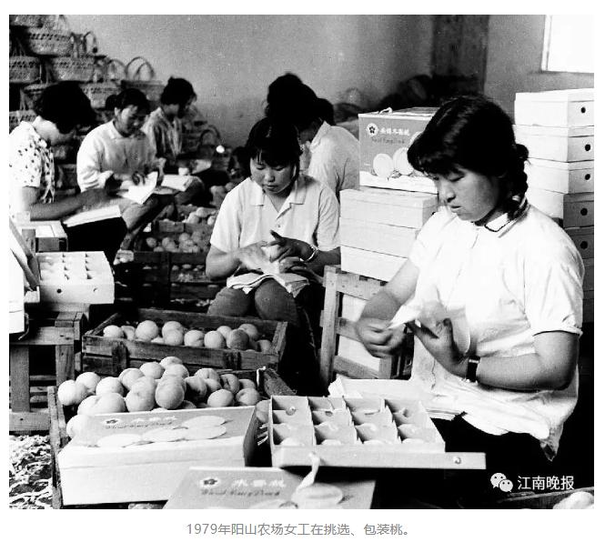 改革开放以来老百姓吃饭的变化,中国改革40周年餐桌变化