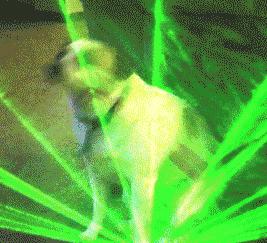 比nars便宜一半的粉底液,比nars还便宜的化妆品牌