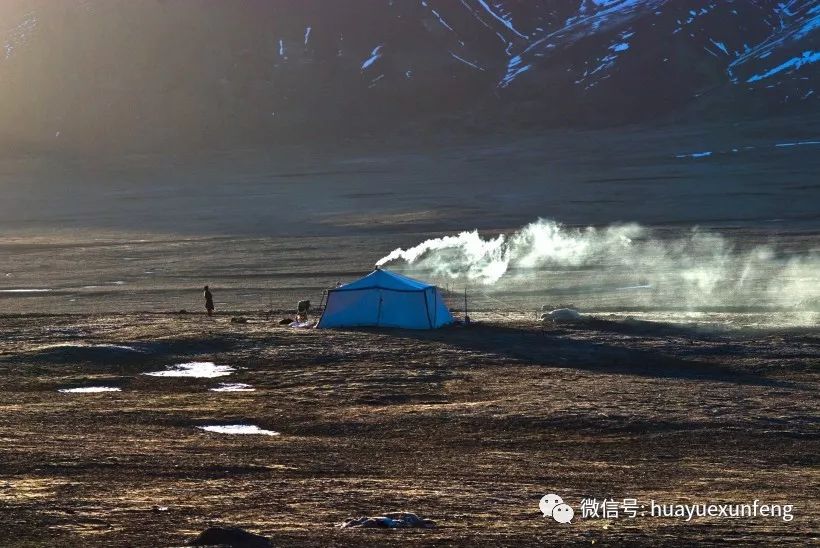 西藏之旅遇到野藏獒,西藏自驾游中遇到一窝小藏獒