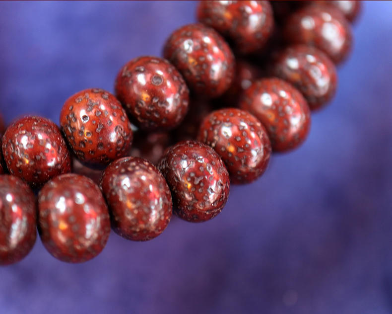 星月菩提的盘玩方法速成,新入手的星月菩提正确的盘玩步骤