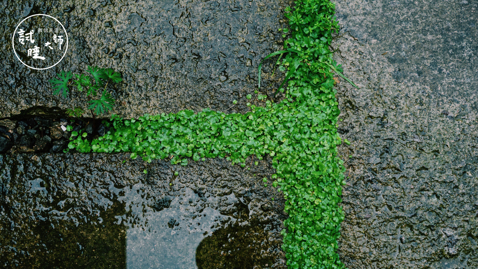 青春旅社王源选秋老师,青春旅社王源莫干山