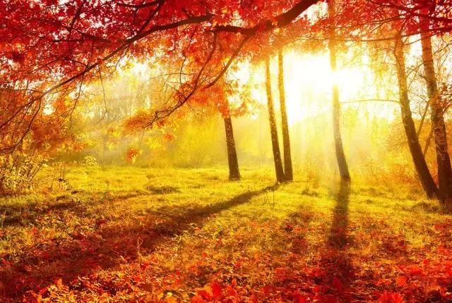 中国红大气豪迈热情洒脱,中国红霸气文案