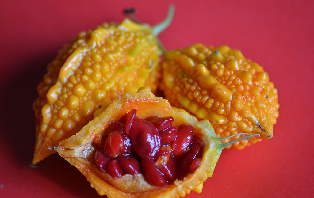 苦瓜一样的果子,和苦瓜很像的一种果子