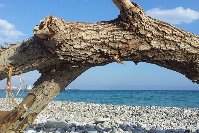 东北旅游十大必去景区,中国十大热门景点排行榜最新