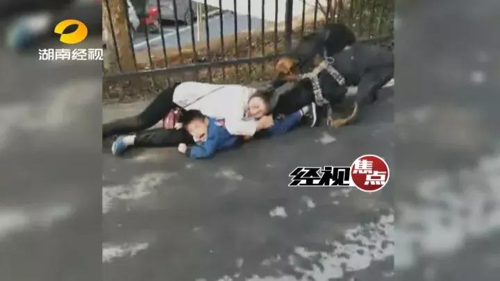 被狗咬住不松口三招教你快速摆脱,被狗咬住如何脱身
