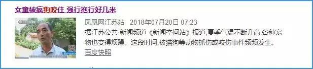 被狗咬住不松口三招教你快速摆脱,被狗咬住如何脱身