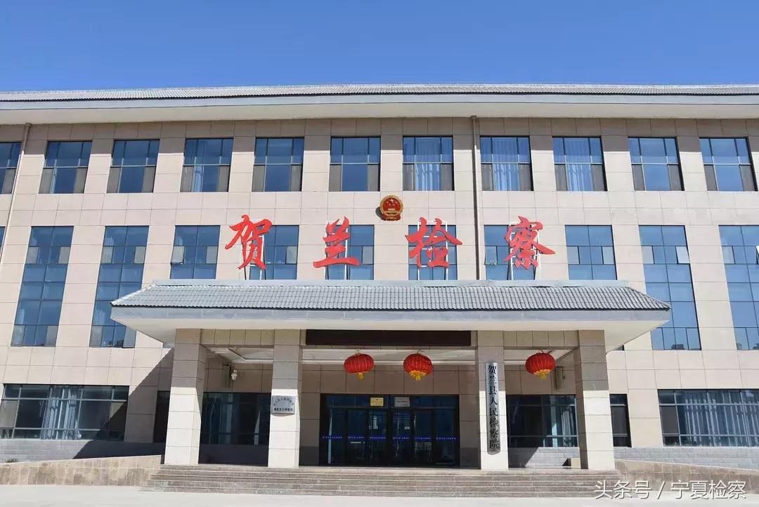 贺兰最近传销判刑人员名单,贺兰传销人员判刑名单