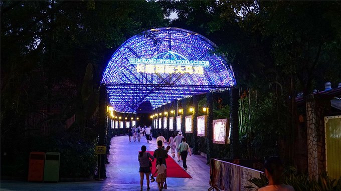 带小孩去长隆欢乐世界畅玩一天,暑假带娃去广州长隆野生动物世界