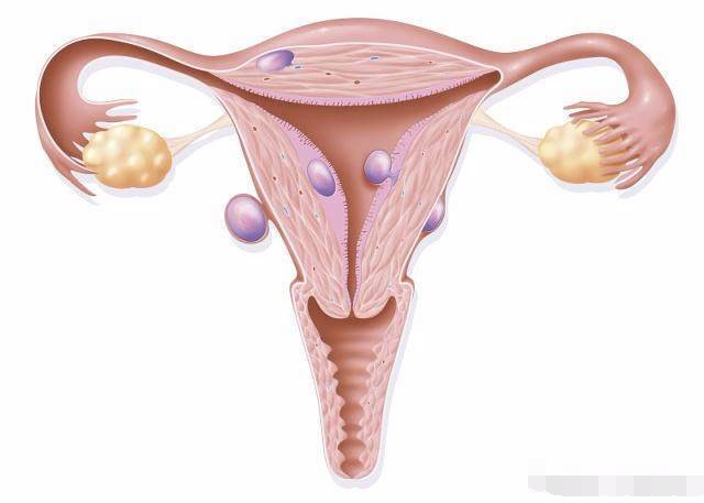 生孩子后子宫恢复,生孩子后恢复月经