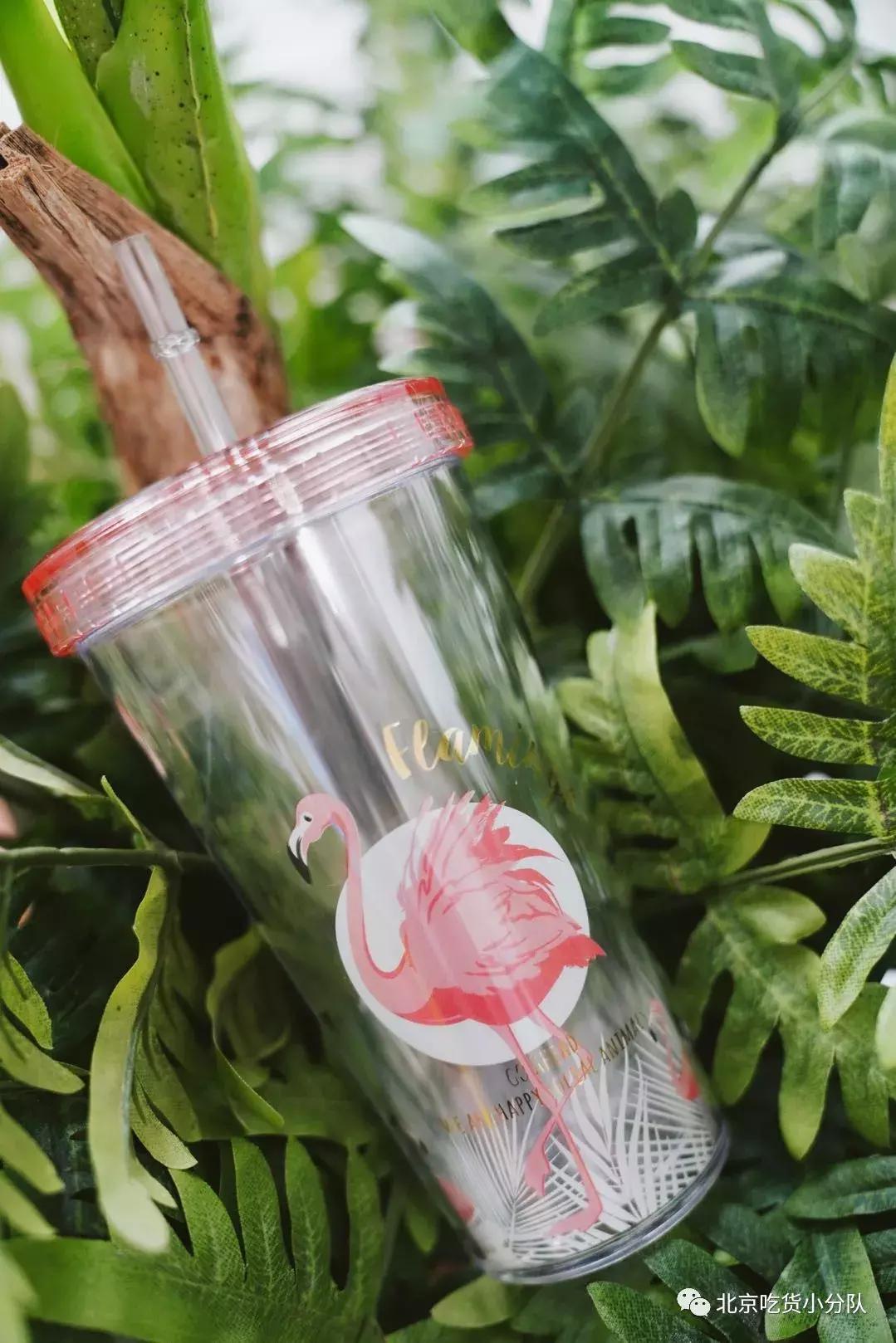 想买高颜值玻璃杯有什么,玻璃杯哪款最值得购买