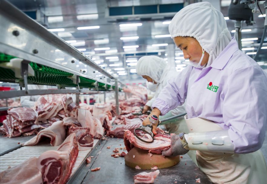 *局破**猪周期的“金锣模式”