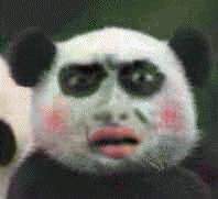 鸡蛋放空调房间孵出小鸡,鸡蛋放在阳台会孵小鸡出来吗