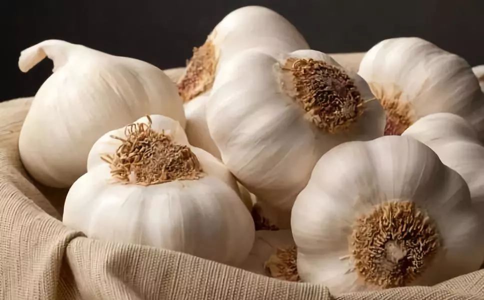 别小看葱姜蒜，这三个区域公用品牌不仅热销国内市场，还被卖到全世界！