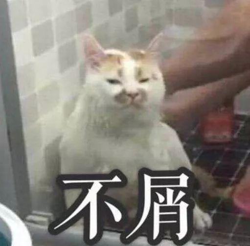 这，就是女神｜梁萍萍：立志振兴南珠的“养珠人”