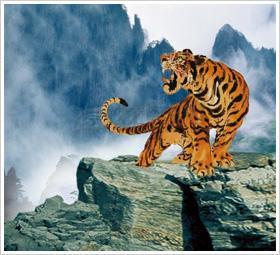 历史上姓氏第一人,此姓在百家姓排多少位