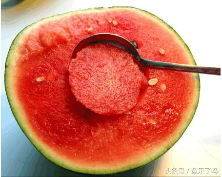 西瓜可以酿制酒吗,西瓜酒的酿制方法