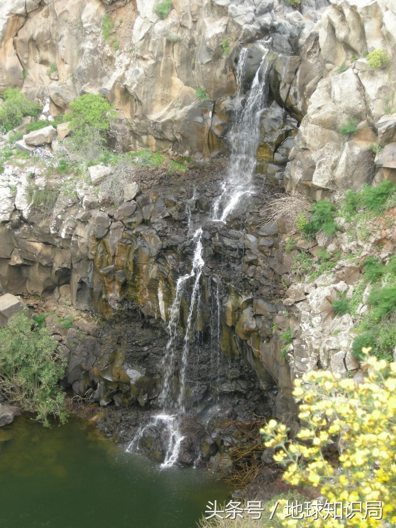 以色列为什么欺负巴勒斯坦,以色列为什么欺负叙利亚