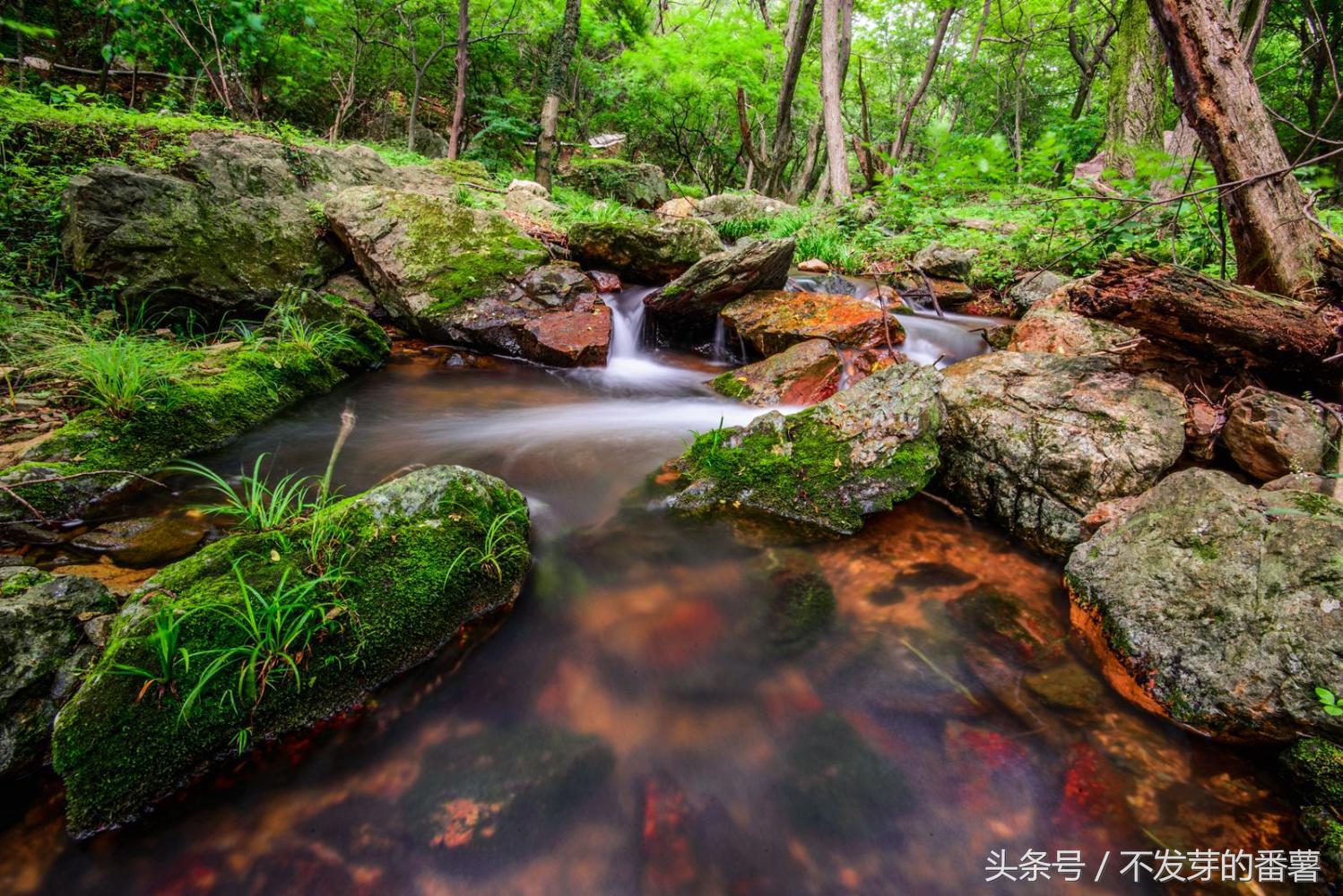 随州城市评价,随州最没存在感的城市