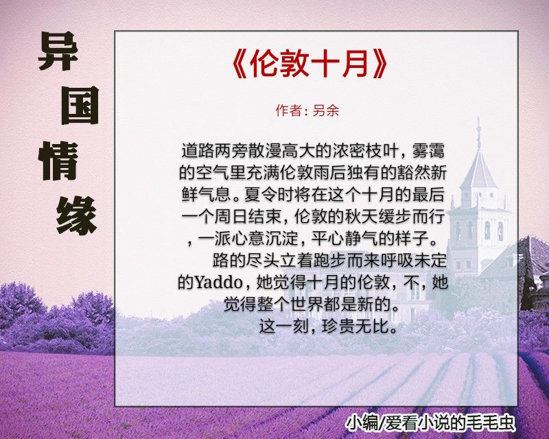 好看的异国恋小说推荐,好看的异国恋言情小说