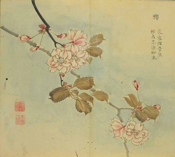 出自蒹葭的成语,蒹葭的成语