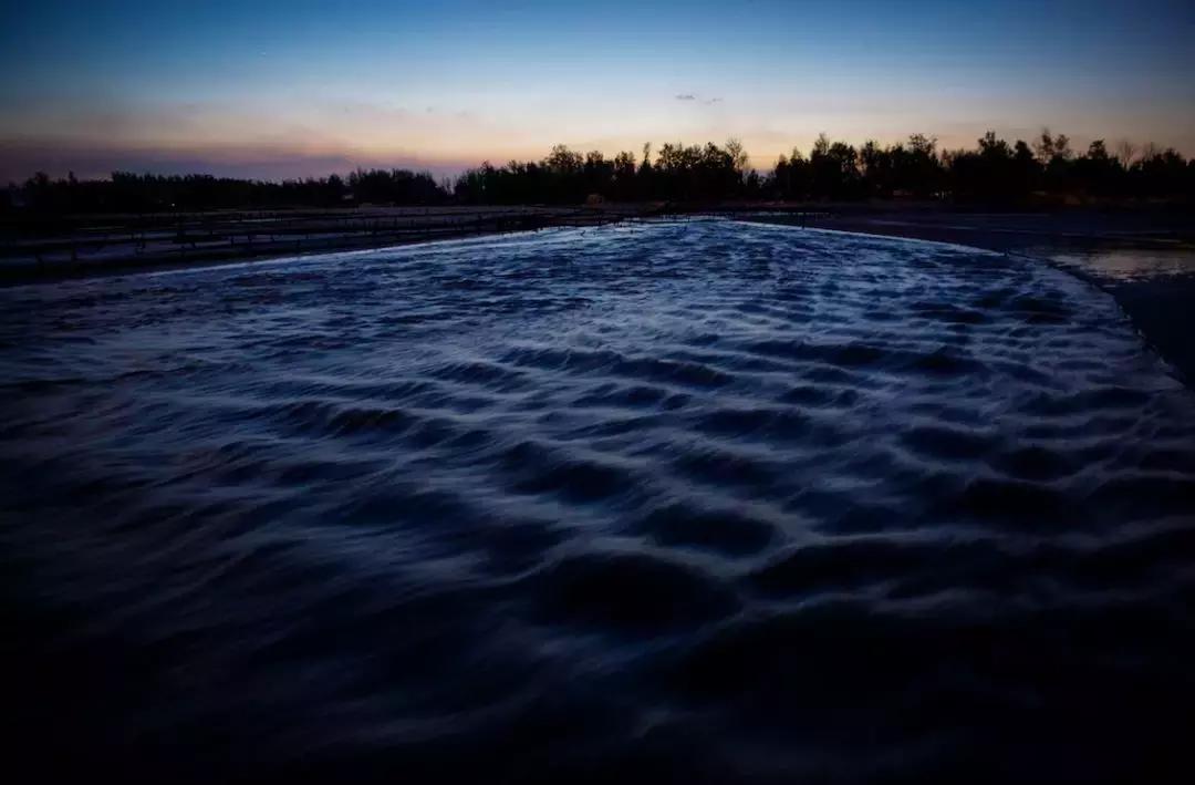 机票300+，海鲜100吃到撑，东山岛的神秘沙洲，每隔12小时会消失