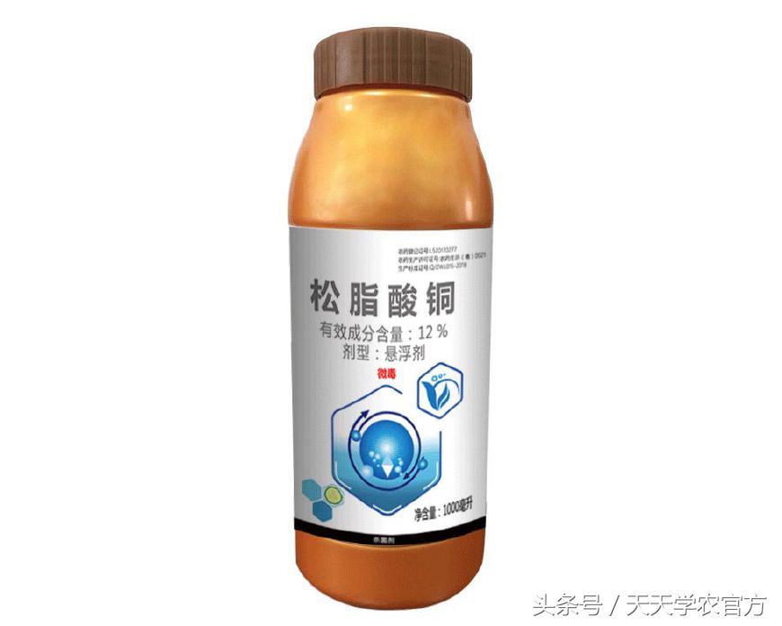 下雨后果园怎么防病虫害,雨季果树怎么防治病害