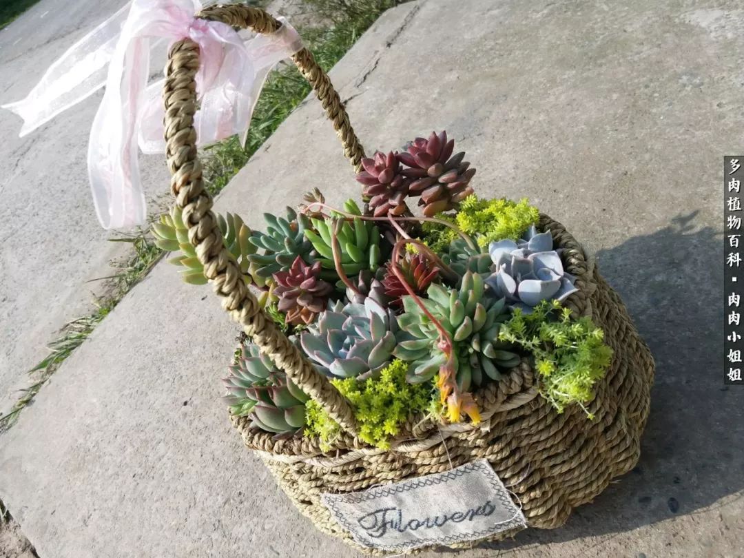 爱“肉”的川妹子入了巨坑！终于把爱好变成了事业！