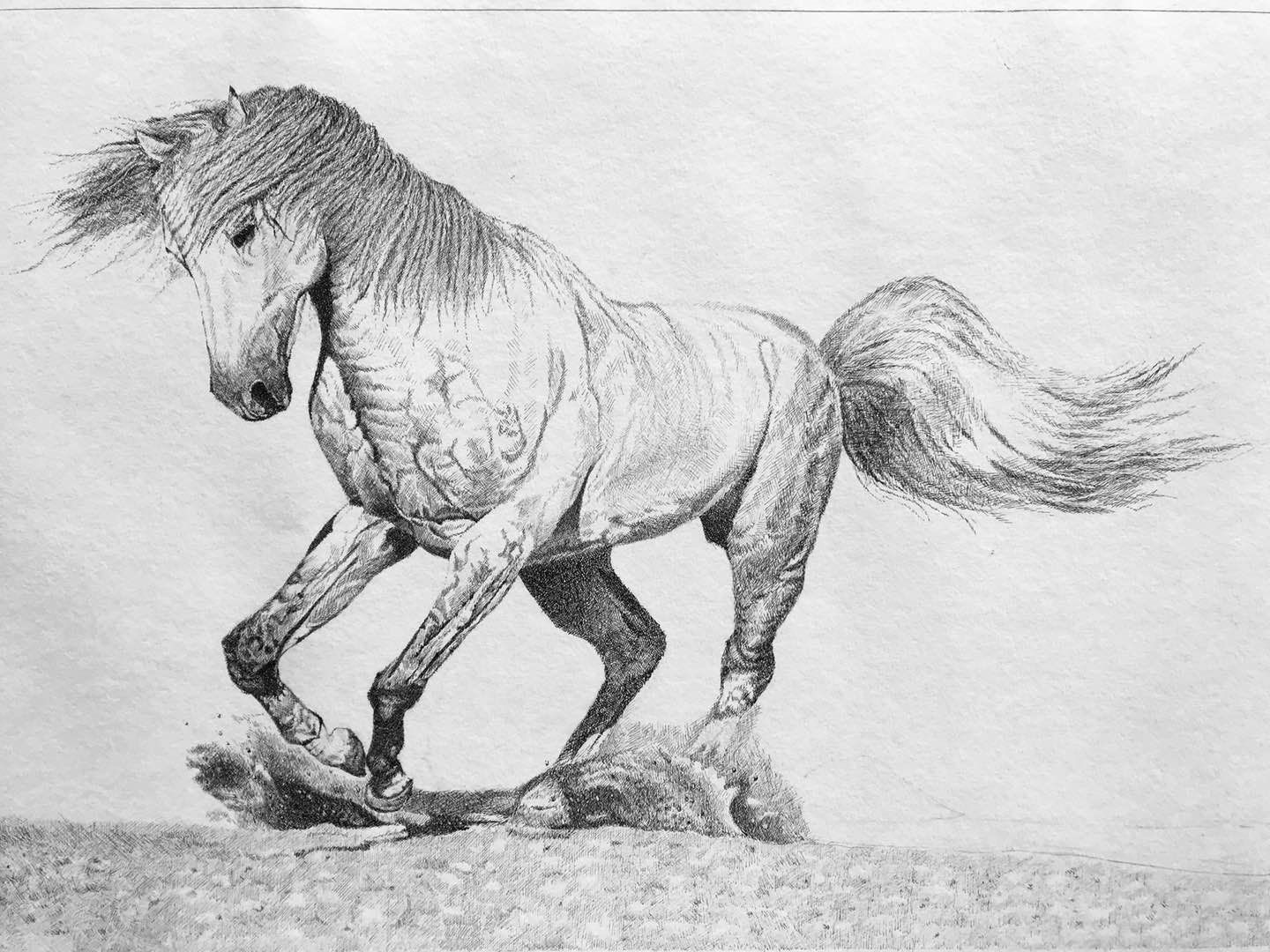 幸福画吧画友作品展示,幸福原创画吧画友最新作品分享